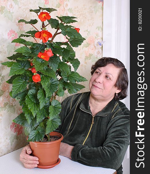 The woman admires a begonia blossoming by red buds. The woman admires a begonia blossoming by red buds