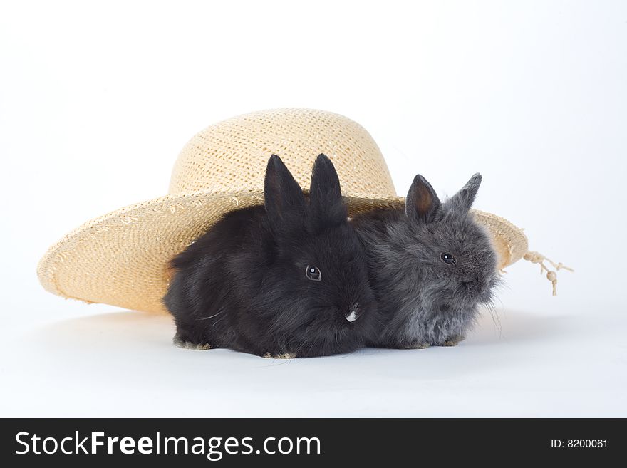 Two bunny in the straw hat, isolated on white