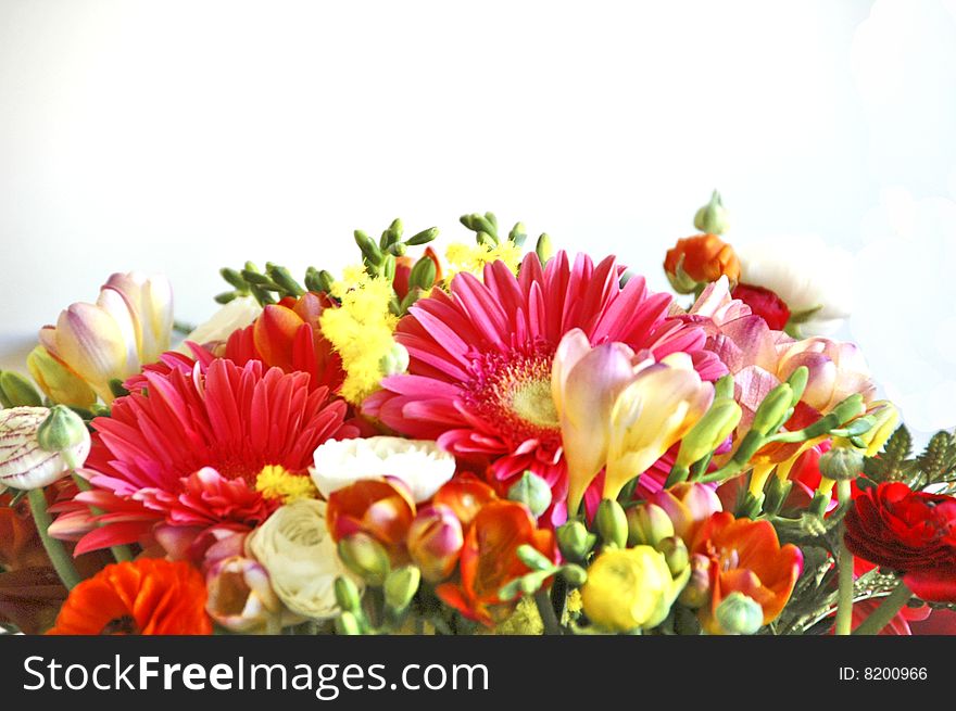 Bunch of colored flowers on a white background. Bunch of colored flowers on a white background