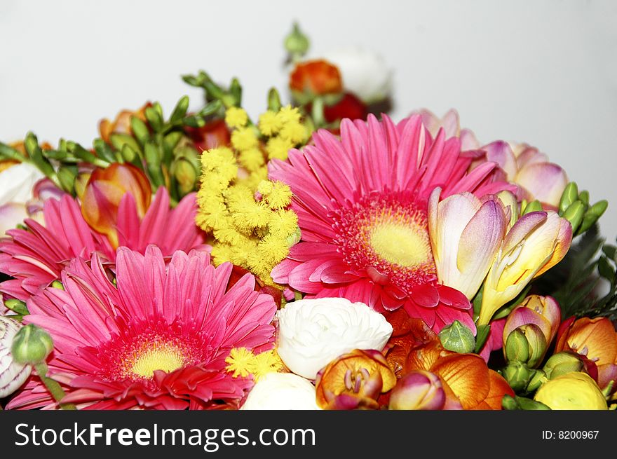 Heap of colored flowers against a white background. Heap of colored flowers against a white background
