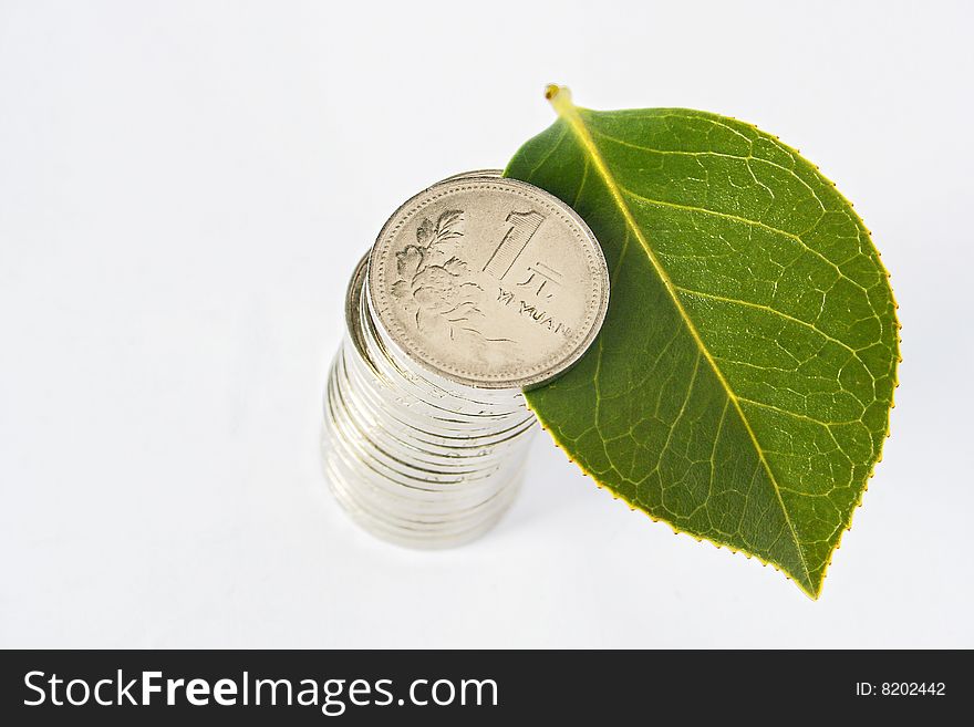 Leaves and coins