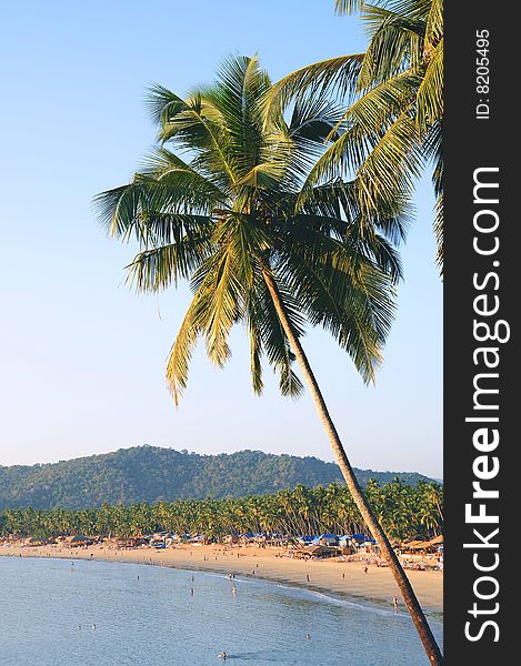 Palm trees with beautiful seascape on background with mountains, bay, sand beach and shacks. Palm trees with beautiful seascape on background with mountains, bay, sand beach and shacks.