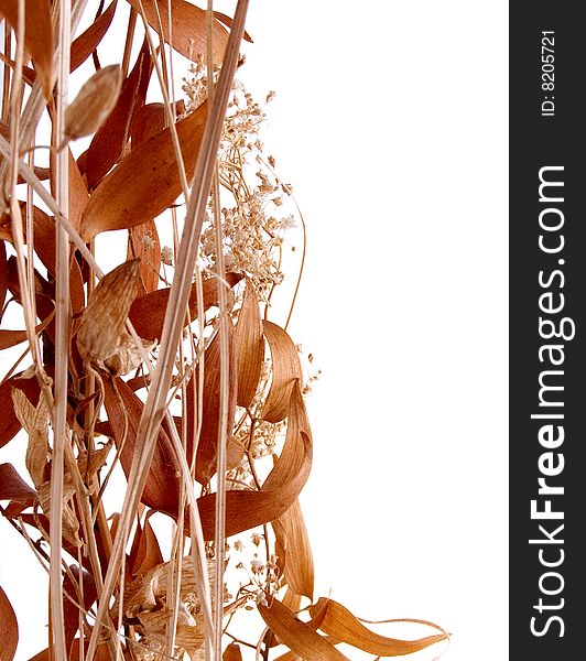 Dried bouquet with leafs and stalks. Dried bouquet with leafs and stalks