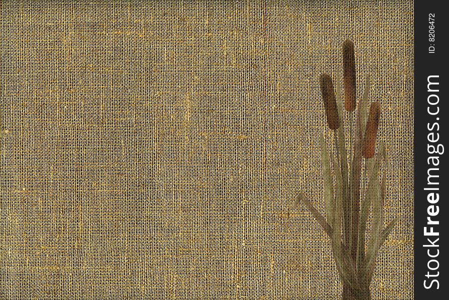 Rustic canvas texture with bunch of the bulrush. A natural material.