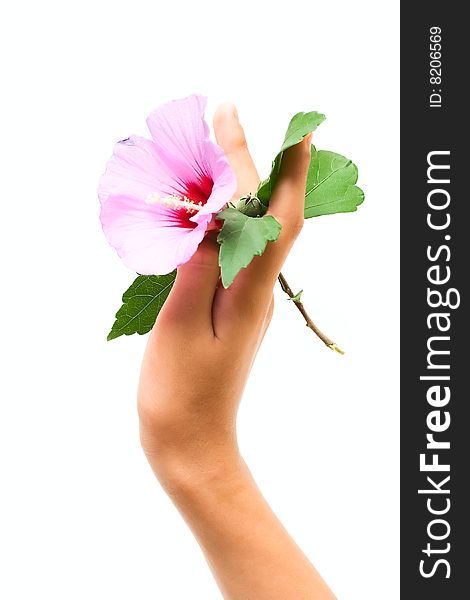 Flower in human hand isolated on white