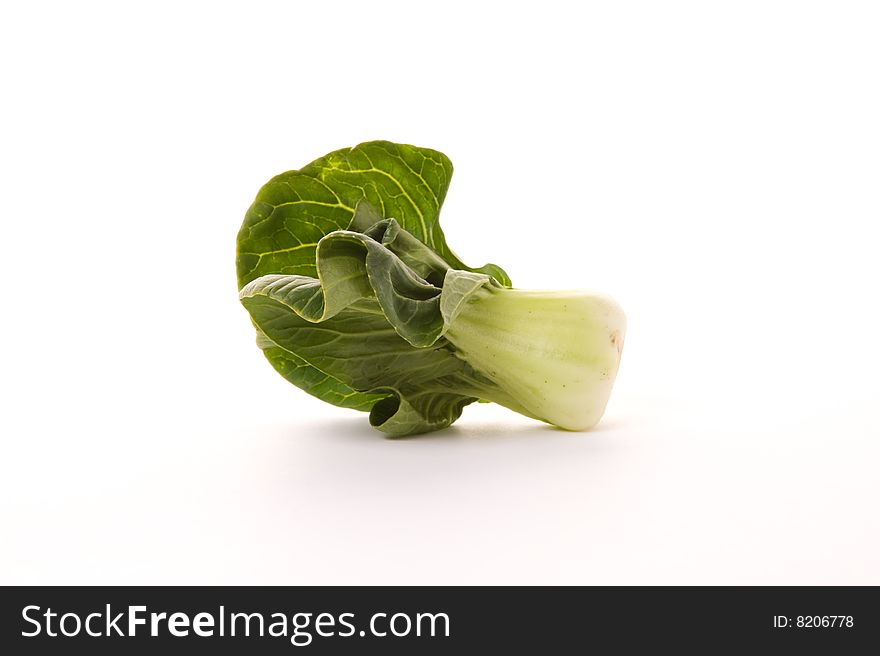 Single bokchoy cabbage on a white background
