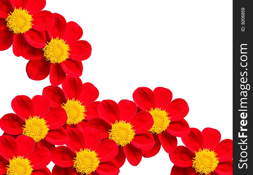 Flowers with red petals Ð°bstract background