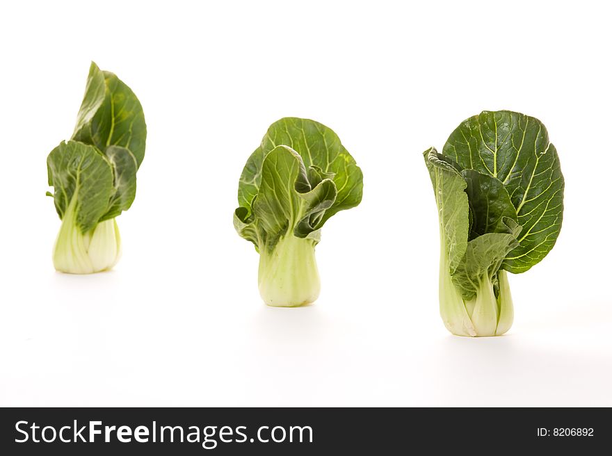 Three bokchoy cabbages on a white background