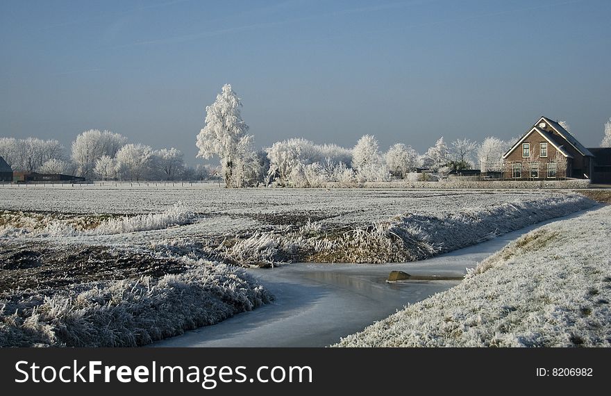 Very cold winter in holland  with trees snd ice on the water