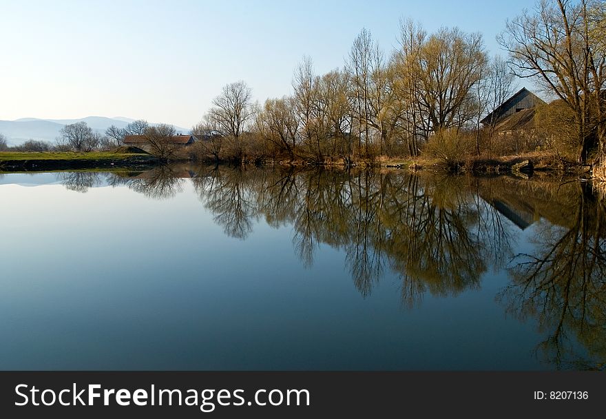 Mirrored trees in morning blue sky