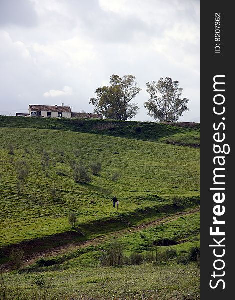 Andalusia, rural landscape