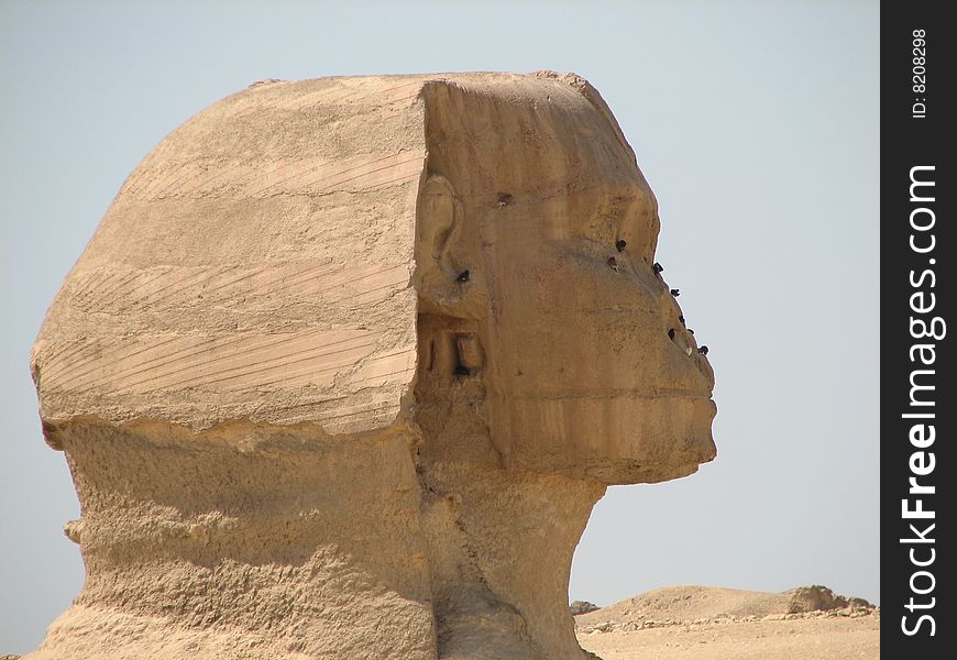 This is the Sphinx in Giza, Egypt