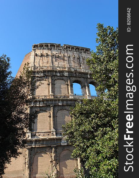 The Roman Colosseum in a sunny late winter morning. The Roman Colosseum in a sunny late winter morning