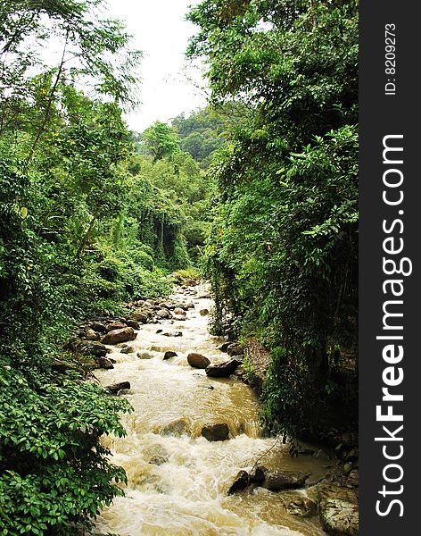 Sungai Mamut, a river in Sabah, Malaysia. Sungai Mamut, a river in Sabah, Malaysia