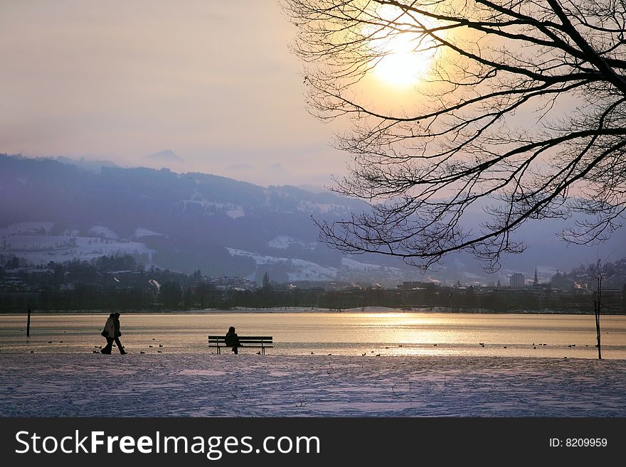 Sunny park on the swiss lake