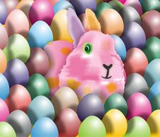 Easter Rabbit Stock Images Easter Rabbit Stock Images