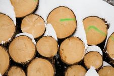 Snow Wood Trunks Royalty Free Stock Photo Snow Wood Trunks Royalty Free Stock Photo