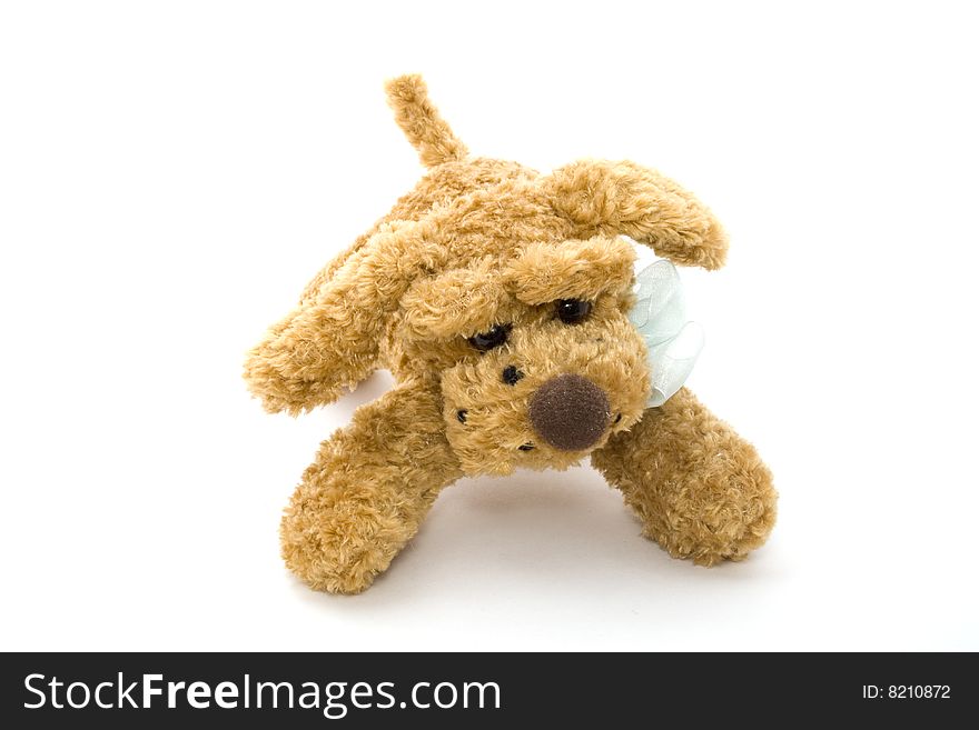 Plush dog on the white background