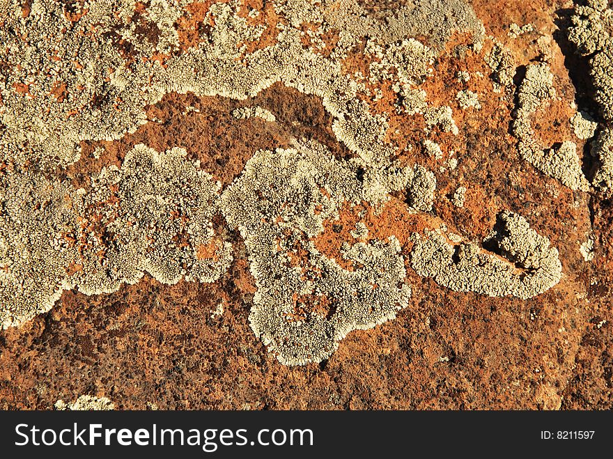 Lichen Boulder Background