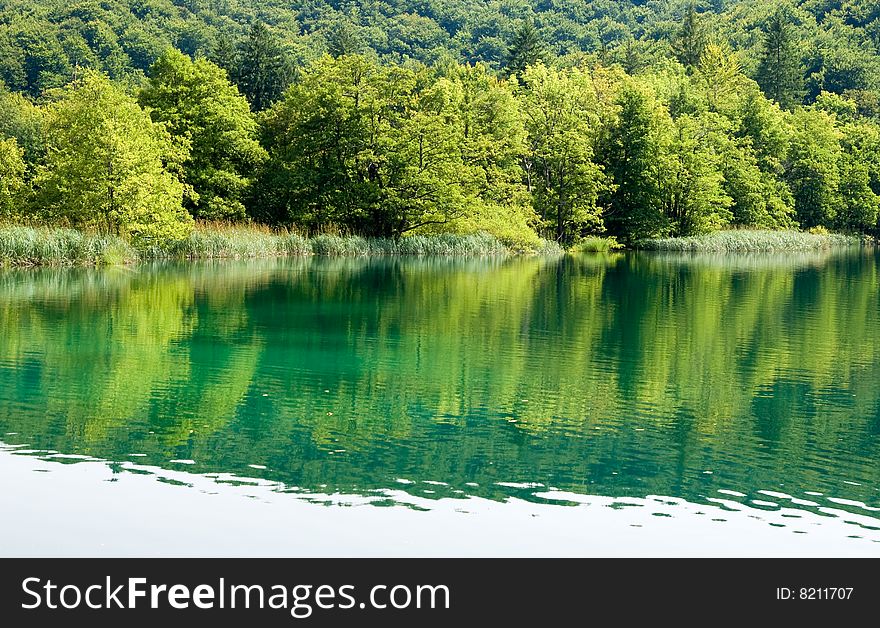 Lake in the Plitvice national park (Plitvicka jezera), Croatia