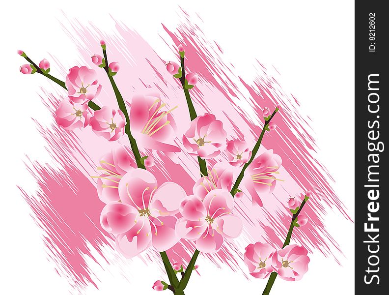 Natural view, Modern Spring flowers Illustration.