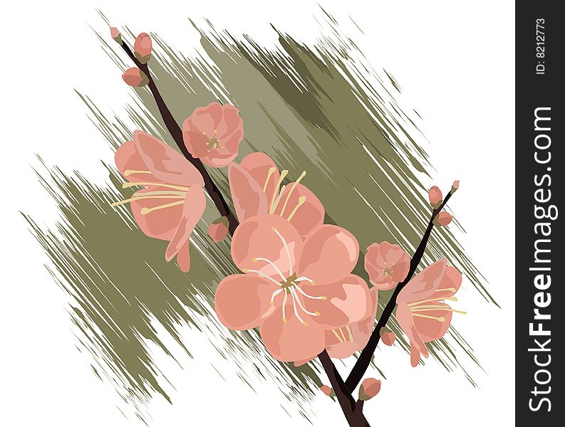 Natural view, Modern Spring flowers Illustration.