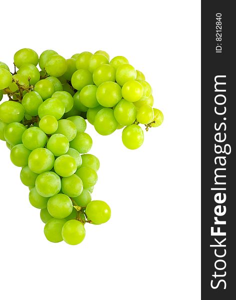 Two clusters of fresh green grapes with white background and copy space