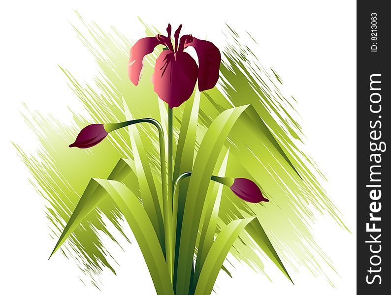 Natural view, Modern Spring flowers Illustration.