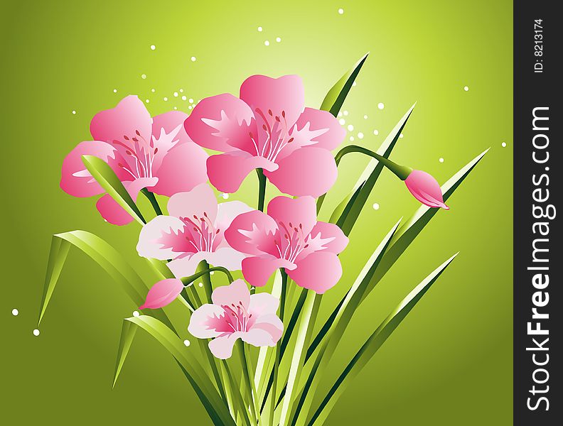 Natural view, Modern Spring flowers Illustration.