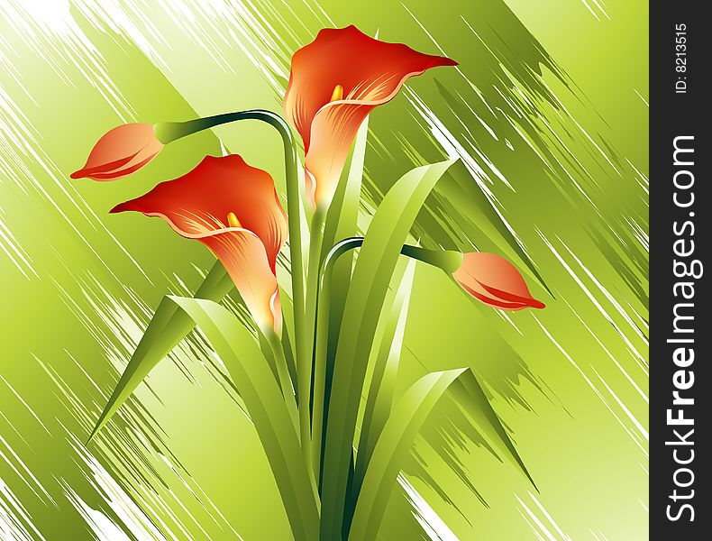 Natural view, Modern Spring flowers Illustration.