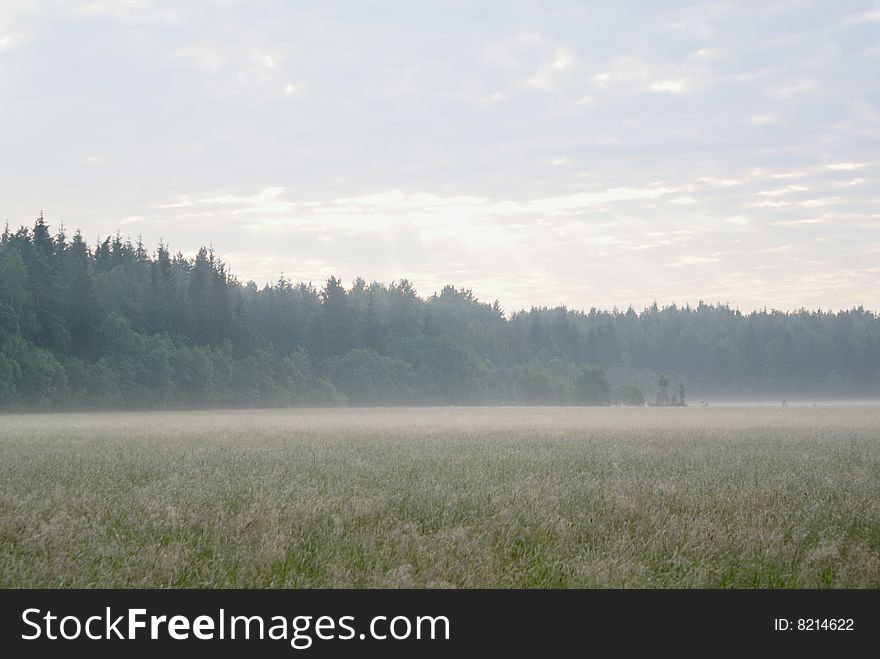 Mist of morning over wood and field