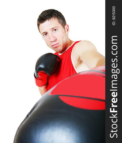 Boxer on white background. Isolated