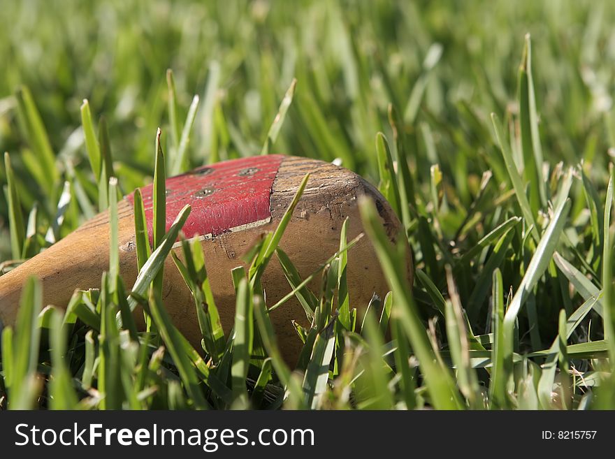 Wood driver in the grass