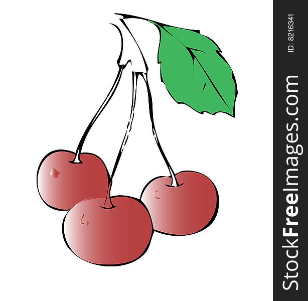 Sweet cherry.  image. illustration