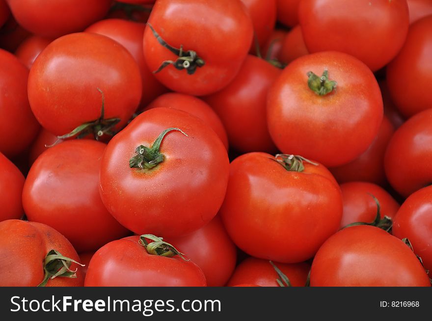 Very fresh tomatos in market