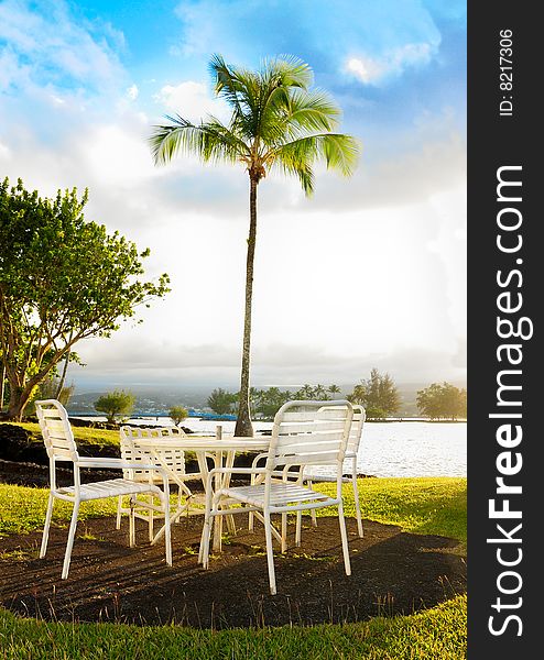 Deck chairs with a palm tree by the sea in a sunset