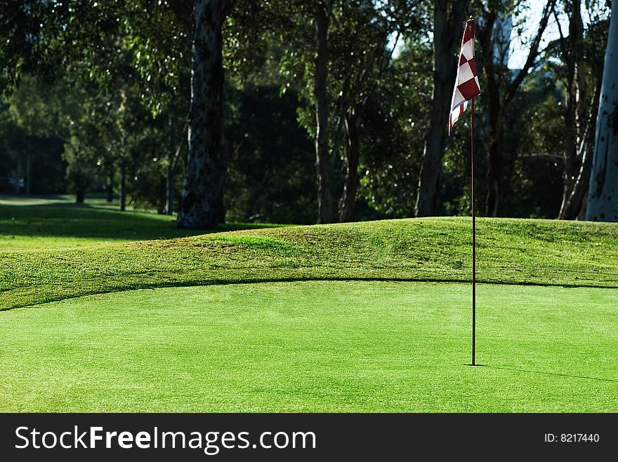 Picture of a flag in the hole on a golfgreen with trees in the background. Picture of a flag in the hole on a golfgreen with trees in the background.