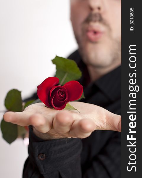 Young man, holding a beautiful red rose on his palm, blowing in its direction. Young man, holding a beautiful red rose on his palm, blowing in its direction