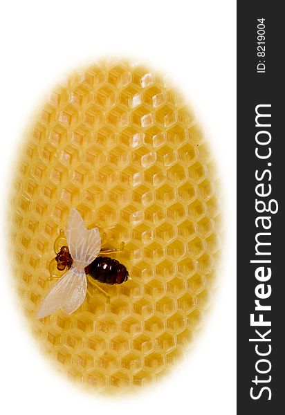 The Bee Sits On Yellow Equal Honeycombs