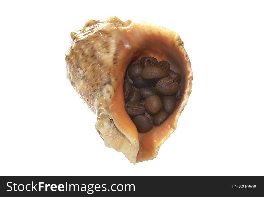 Cockleshell filled by grains of coffee on a white background. Cockleshell filled by grains of coffee on a white background.