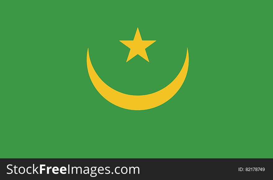 Flag Of Mauritania Vector Icon Illustration