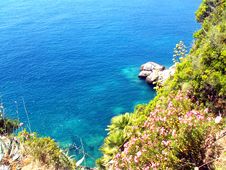 Croatian Coast Royalty Free Stock Photo Croatian Coast Royalty Free Stock Photo