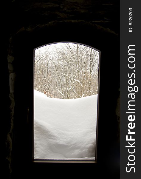 Window view to outside winter  forest. Window view to outside winter  forest