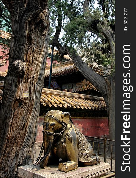 Garden on the back of the forbidden city. Garden on the back of the forbidden city