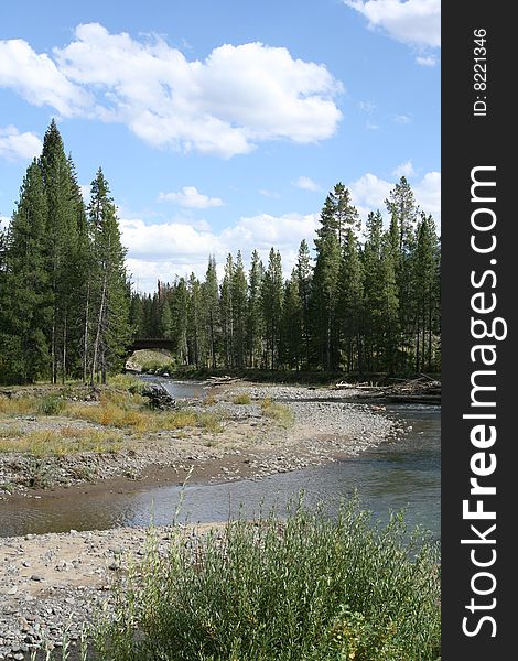 Winding creek in Wyoming - blue sky, river and beautiful pine trees. Winding creek in Wyoming - blue sky, river and beautiful pine trees