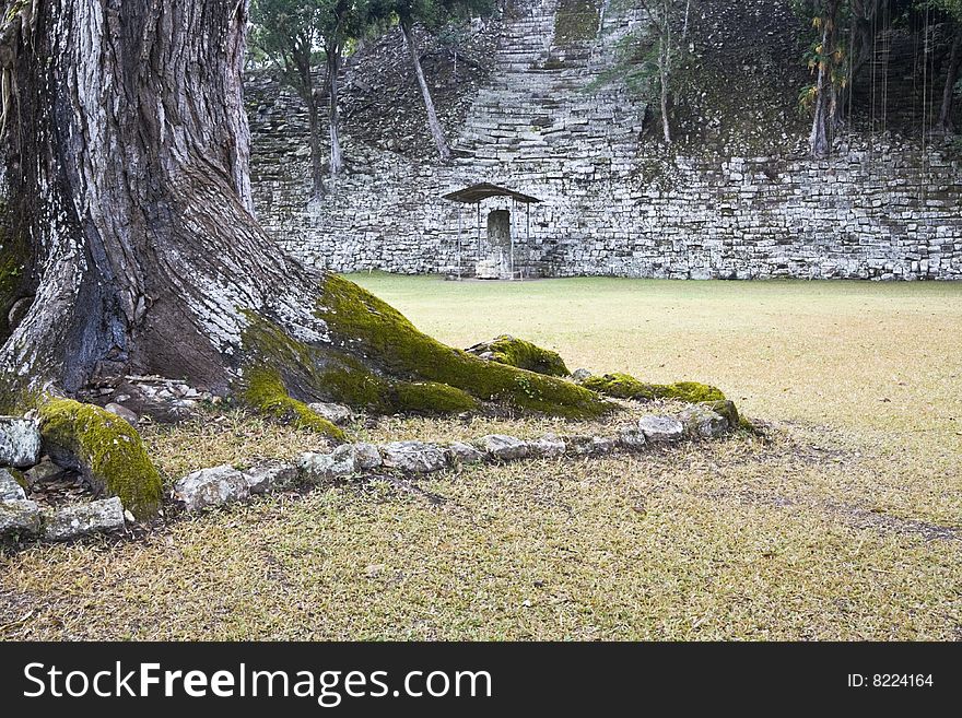 Ancient Ruins of Copan, Honduras