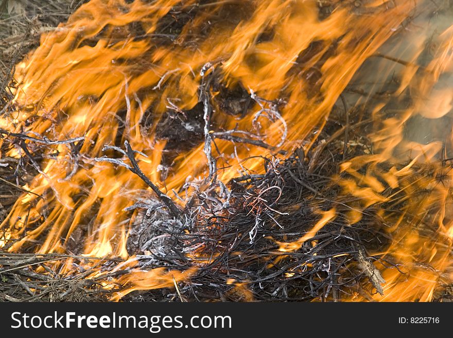 Burning fire close-up, may be used as background