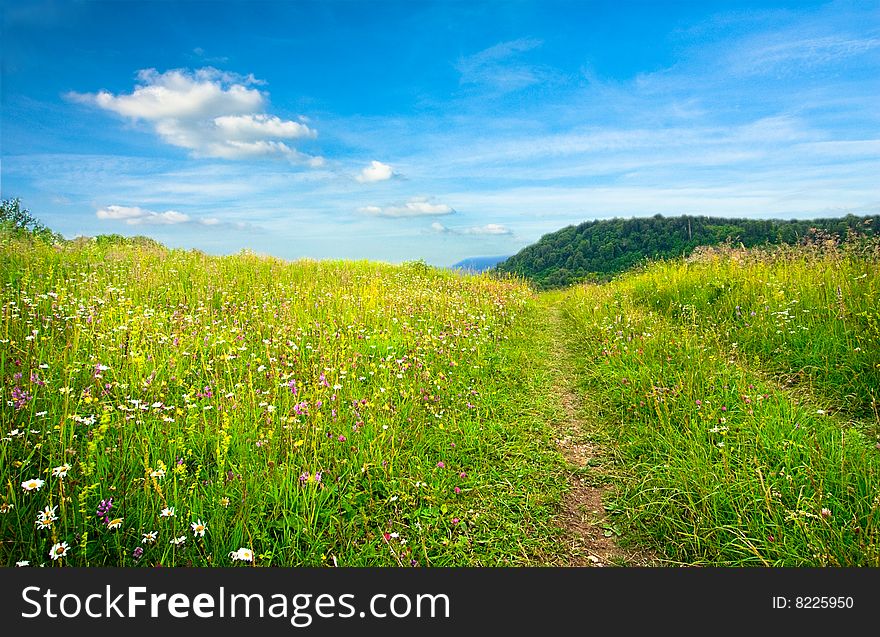 Cloudy Sky And Grass