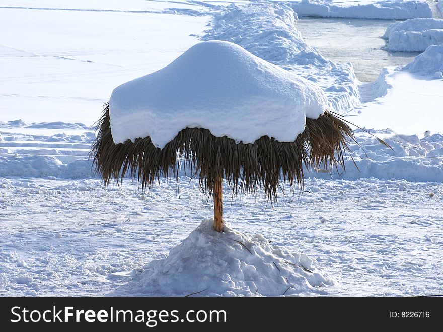 Winter snow canopy on coast of a pond