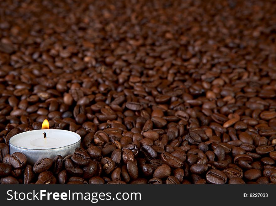 Coffe Beans And Light